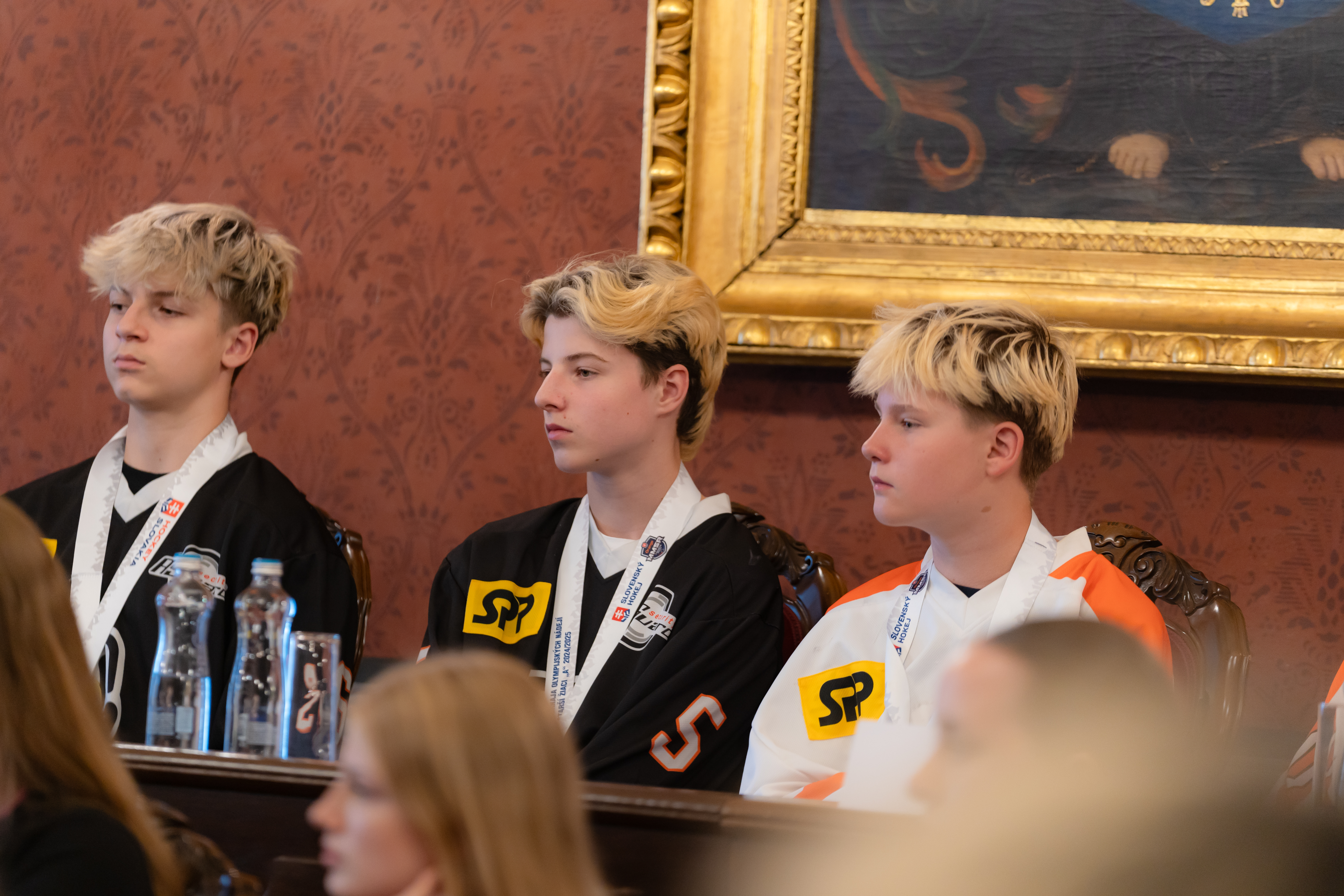 Prijatie sportovcov -16